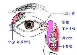 4種常見淚道病的之法